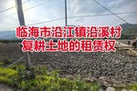 临海市沿江镇沿溪村复耕土地的租赁权